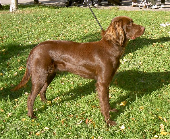 Moona syyskuussa 2007