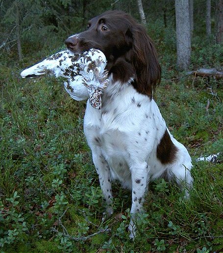 Kira lokakuun 2005 alussa