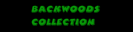 bw_logo.gif (4588 bytes)