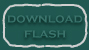 Download Flash